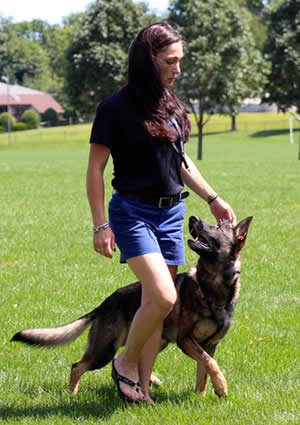 k9 dog training